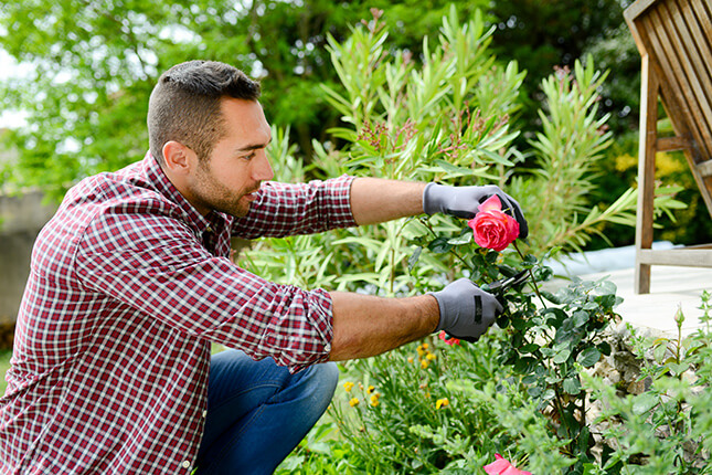 7 Tips to Staying Safe While Landscaping